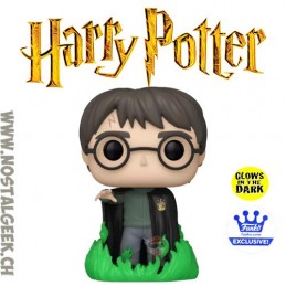 Funko Funko Pop Harry Potter N°53 (Using Floo Powder) Phosphorescent Edition Limitée