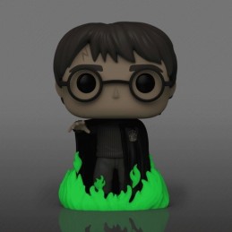 Funko Funko Pop Harry Potter N°53 (Using Floo Powder) GITD Exclusive Vinyl Figure