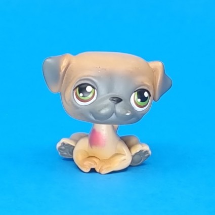 Littlest Pet Shop Pug Used figure (Loose)