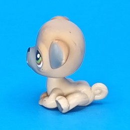 Littlest Pet Shop Pug Used figure (Loose)