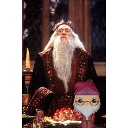 Funko Funko Pop! Harry Potter Albus Dumbledore