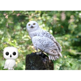 Funko Funko Pop N°76 Harry Potter Hedwig (Pearlized) Edition Limitée