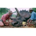 Funko Pop N°1198 Movie Moment Jurassic Park Dr. Sattler with Triceratops Exclusive Vinyl Figure
