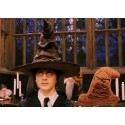 Harry Potter Cushion Talking Sorting hat