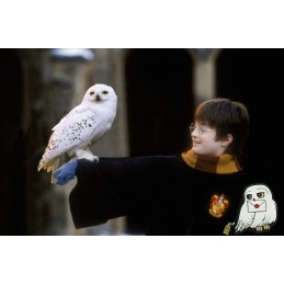AbyStyle Harry Potter Coin Purse Hedwig