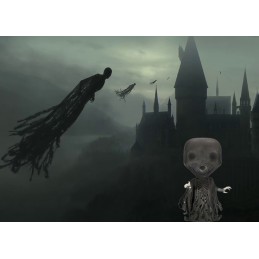 Funko Funko Pop N°161 Harry Potter Dementor GITD Exclusive Vinyl Figure