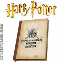 AbyStyle Harry Potter Cahier Hogwarts School A5