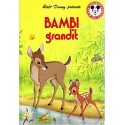 Mickey Club du livre Bambi Grandit Used book