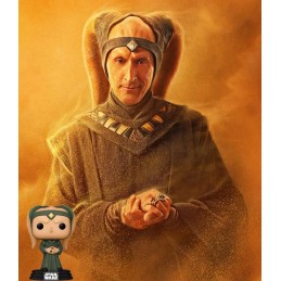 Funko Pop Star Wars N°582 The Book of Boba Fett Majordomo