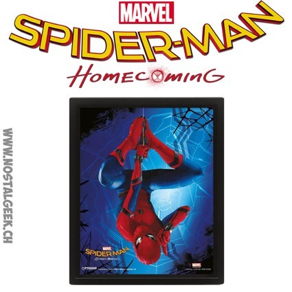 Décoration Marvel Cadre 3D lenticulaire Spider-man: Homecoming geek