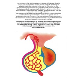 Il était une fois la Vie N°23 Les Hormones Livre d'occasion