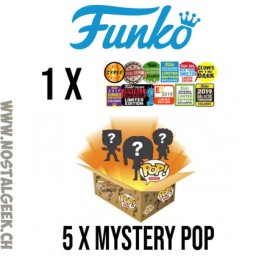 Funko Funko Pop Mystery Box Vinyl Figuren