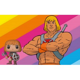 Funko Funko Pop Masters of The Universe He-man Vaulted
