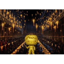 Funko Pop N°01 Harry Potter Gold Edition Limitée