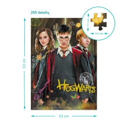 Harry Potter Puzzle 250 Teile