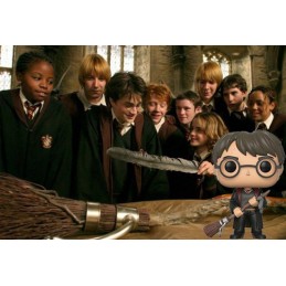 Funko Funko Pop! Film Harry Potter with Firebolt and Feather Exclusive Vinyl Figure