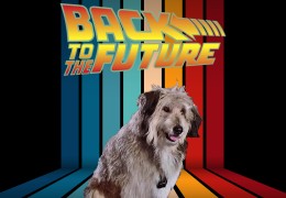 Retour vers le futur : Einstein n’était pas toujours un chien dans la DeLorean